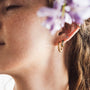 Twist Hoops-2