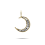 Wild Moon Pendant-3