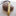 Lisa Levitt Gainsley - The Book of Lymph Bookmark-3