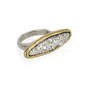 Frequency Ring-1