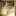 Starshower Trapezium Charm - Brass-2